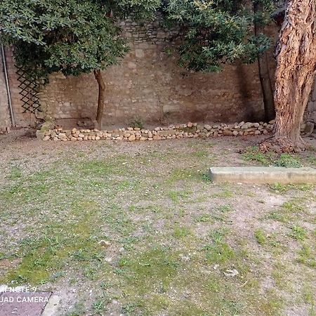 Loft Vue Palais Des Papes Apartman Avignon Kültér fotó