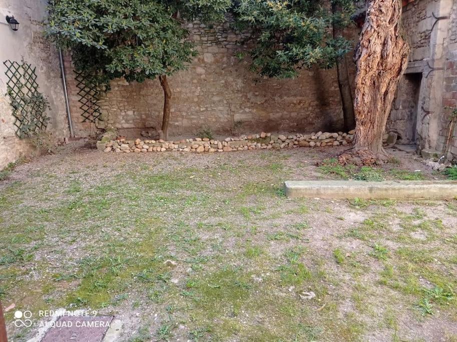 Loft Vue Palais Des Papes Apartman Avignon Kültér fotó